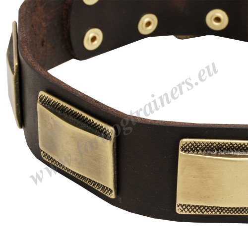 Handmade Dog Collar