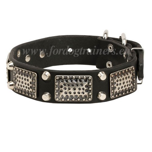40 mm Dog Collar with Large Plates