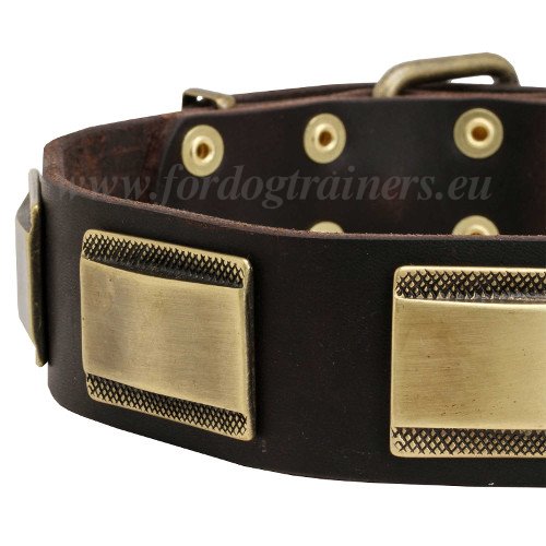 Dog Collar
with Strong Fittings