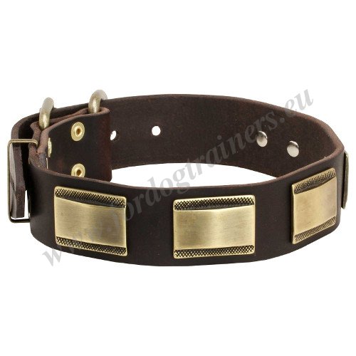 Dog Collar Vintage with Plates