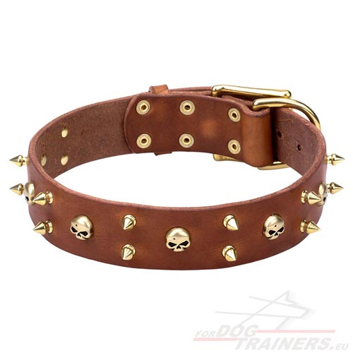 Exclusive Leather Collar with Brass Hardware Solid