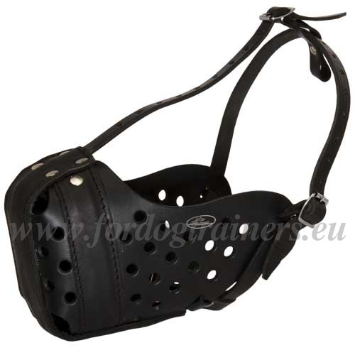 Closed Dog Muzzle Leather