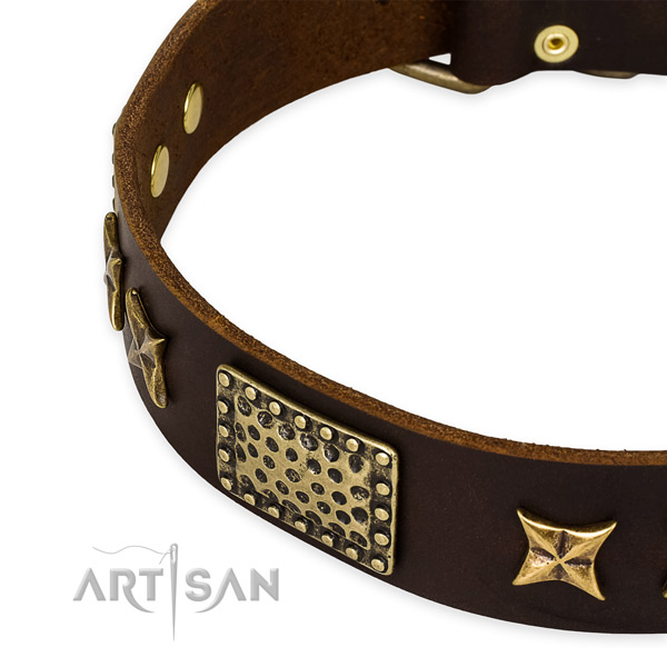 Genuine Leather Dog Collar Wide