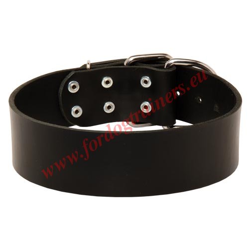 Leather Strap Dog Collar for Training
