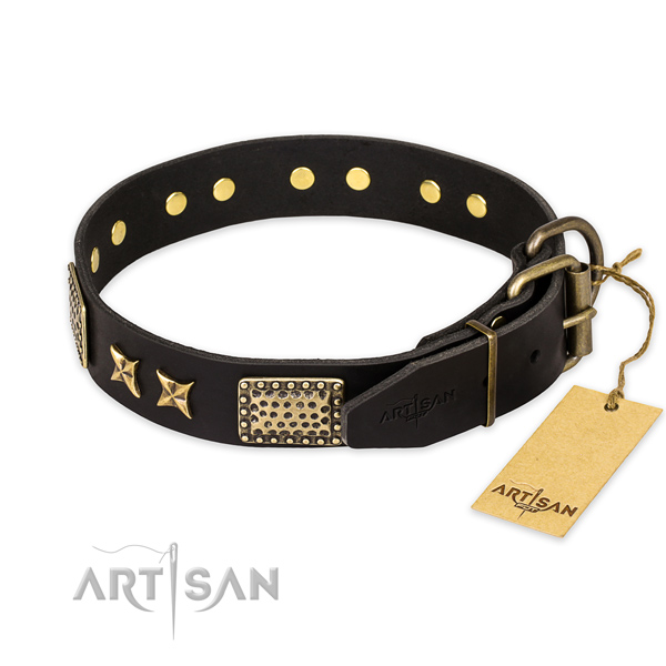 Dog Walking Collar with Brass-plated Studs