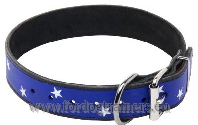 Painted Leather Dog Collar and Harness for Big Dog