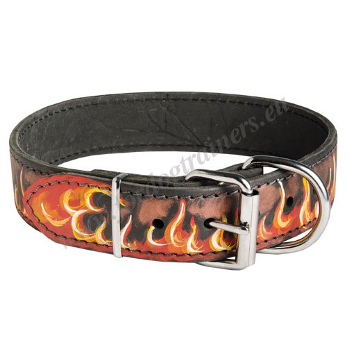 Luxury Painted Dog Collar