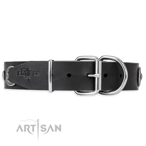Awesome Dog Collars for Big Dogs
