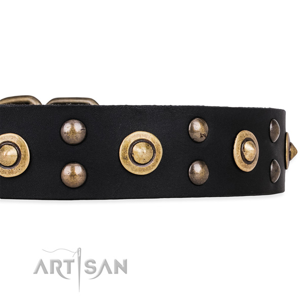 Leather Dog Collar Designs Luxurious