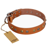 Tan Leather Collar
with Engared Studs Luxurious Leather Dog Collar