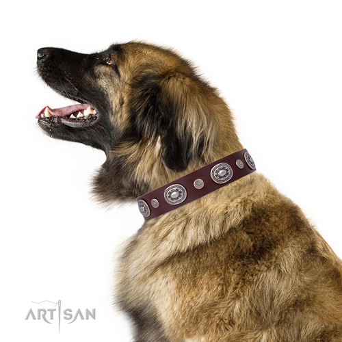 Best Quality Dog Collars Genuine Leather