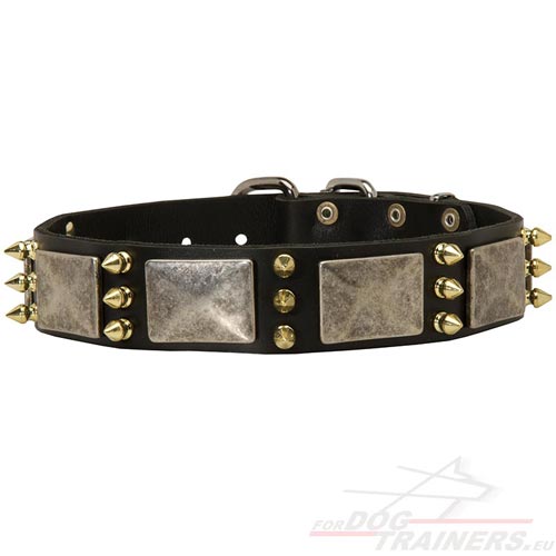Spiked Dog Collars for Large Dogs