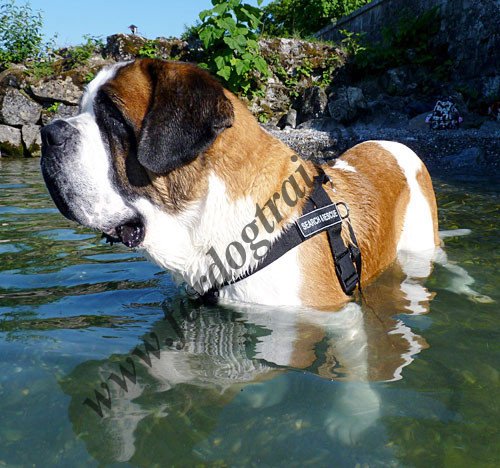 Harnais en nylon pour travail dans l'eau