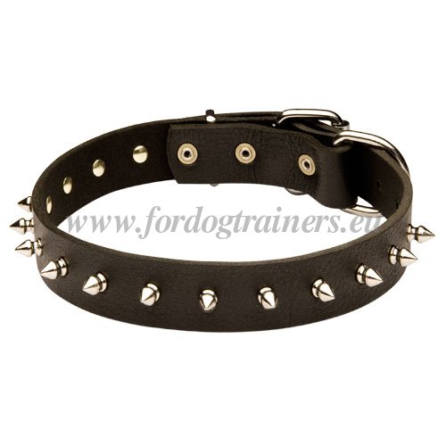 Malinois Leather Collar with Spikes