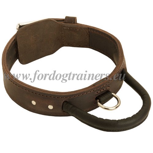 Leather Agitation Dog Collar with Handle Sturdy