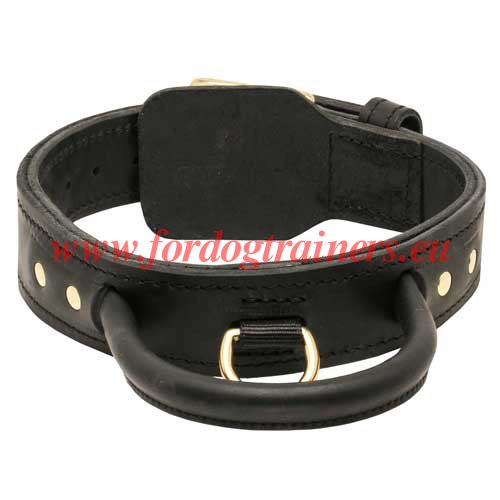 Dog Collar with Built in Handle Leather