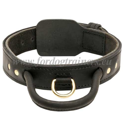 Dog Collar with Handle Built In Leather