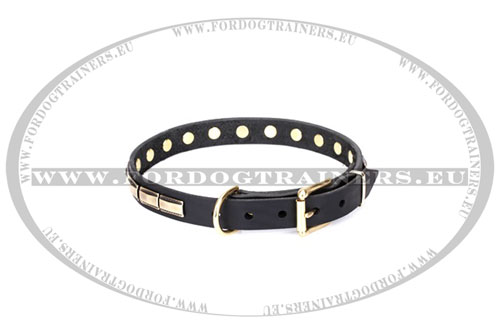 Plated Buckle Collar for Dogs