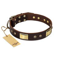 Leather Dog Collar with D-ring Artisan "Rich Fashion" FDT