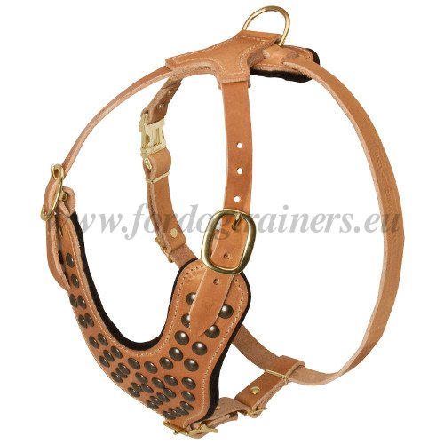 Best Harness for Dogs Tan