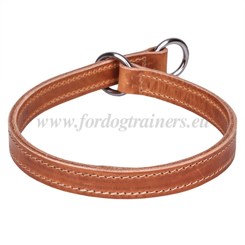 thumbnail image 2 of DIdog Genuine Leather Slip Choke Dog Collar – Adjustable Training Choker For Doberman, Labrador 2 of 3