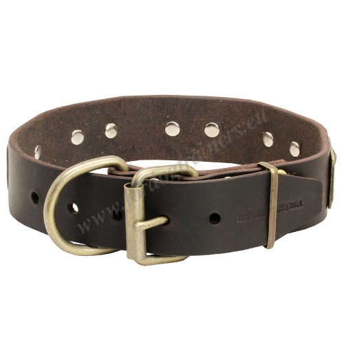 Functionally Fashionable Plated Collar
