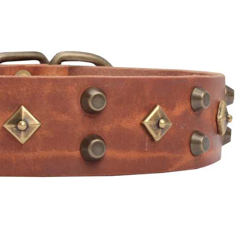 Leather Collar with Studs and Rhombs for Dog