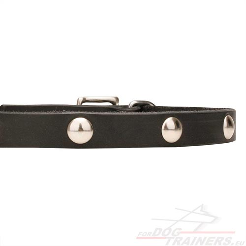 Tear-and-wear Resistant Dog Collar