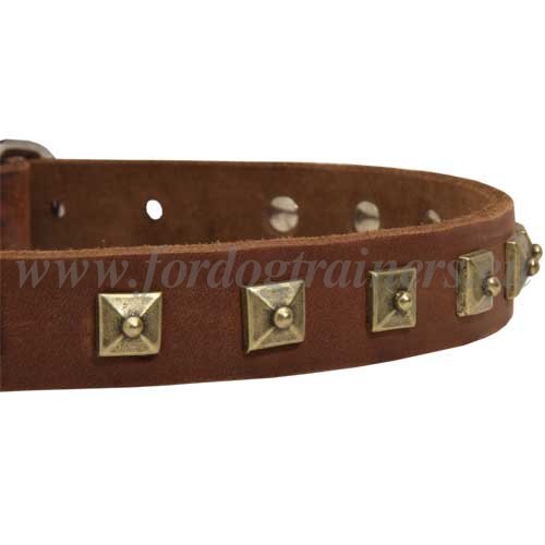 Narrow Dog Collar 25 mm with Super Studs