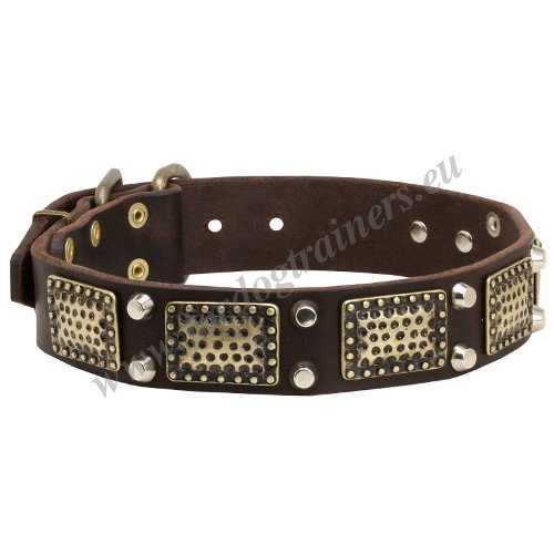 Custom Pet Collars for Malinois