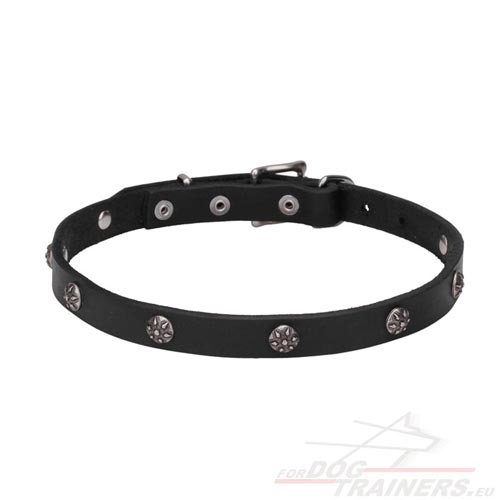 Studded Dog Collar Engraved