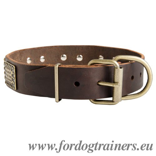 Dog Collar for Large Dog Handling with Plates