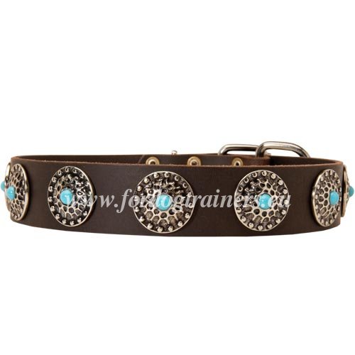 Dog Collar with Turquoise