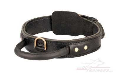 Collar with Handle Stitched In Leather