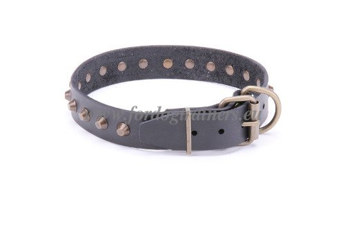 Customer Dog Collar Leather
