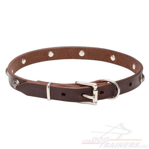 Honden Halsband met Bladeren en Bloemen