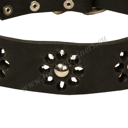 Leather Collar for St Bernard Decoration