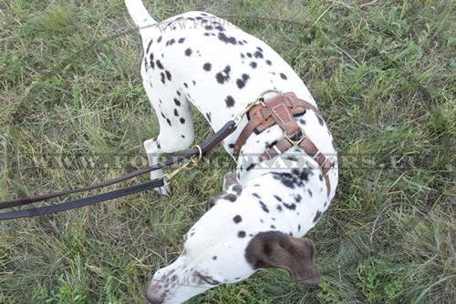 Stitched Leather Dog Leash