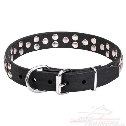 Customized Leather Collar with Studs