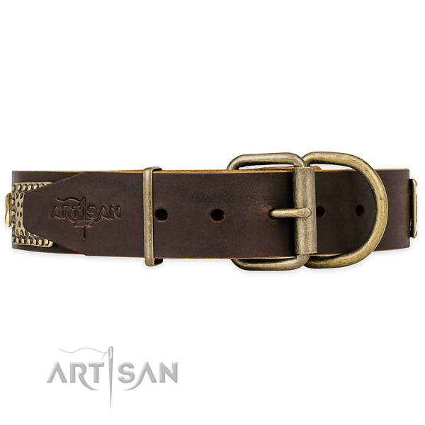 Brown Leather Dog Collar with Brass Hardware