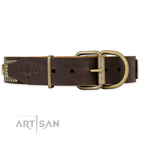 Brown Leather Dog Collar with Brass Hardware