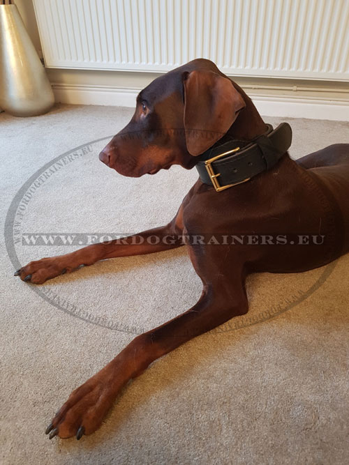 Training Dog Collars Handmade