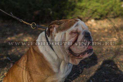 Handcrafted Leather Bulldog Choker