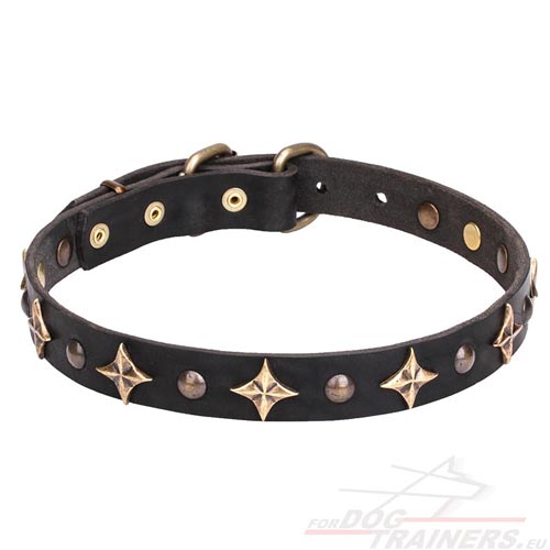 Dog
Collar with Luxurious Decoration