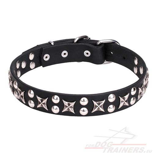 Best Leather Collar for Dog