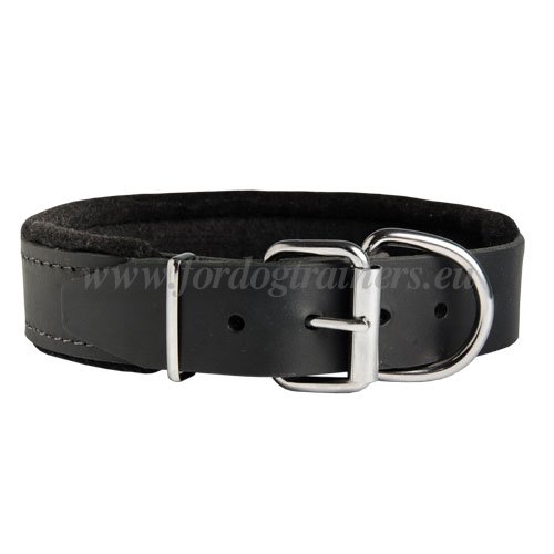 Agitation Training Leather Collar