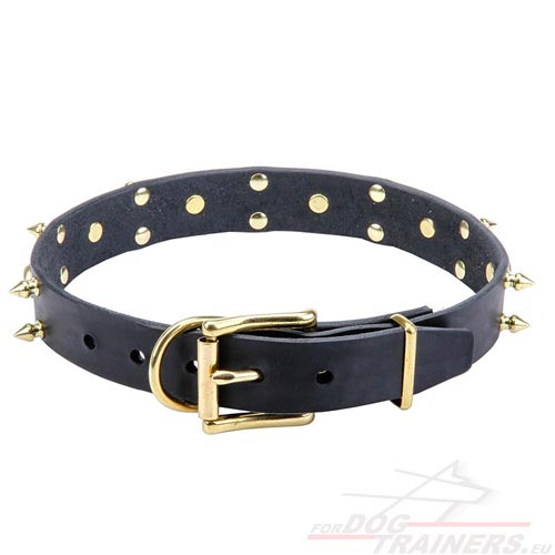 Halsband van Leer met Studs en Schedels