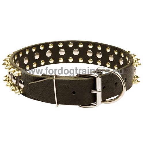 Dog Spiked Leather Collar