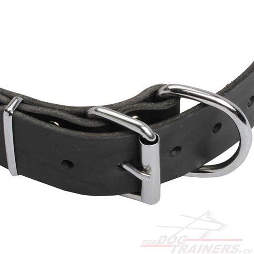 Resistant Dog Collar with Solid Buckle and Ring