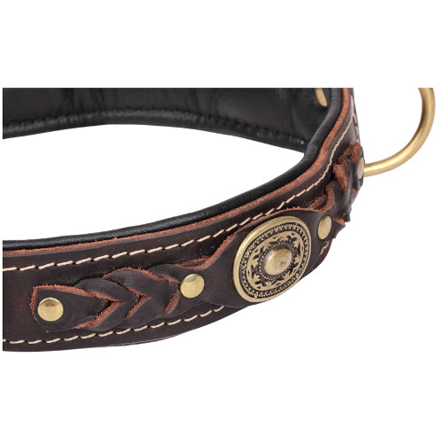 Stunning Decoration of the Leather Dog Collar